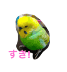 LOVE416（個別スタンプ：10）