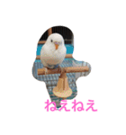 LOVE416（個別スタンプ：14）