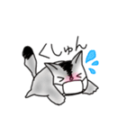 かわうそももんがらいふ（個別スタンプ：26）