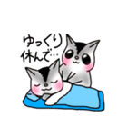かわうそももんがらいふ（個別スタンプ：31）