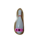 today！！（個別スタンプ：4）