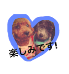 トイプードルのチロルとアポロ（個別スタンプ：13）