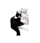 cat comic（個別スタンプ：3）