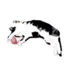cat comic（個別スタンプ：4）