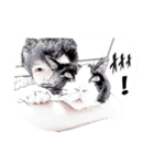 cat comic（個別スタンプ：5）