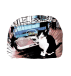 cat comic（個別スタンプ：6）