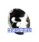 ハナさんスタンプ（個別スタンプ：6）