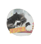 ハナさんスタンプ（個別スタンプ：7）