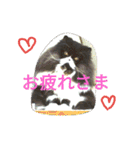 ハナさんスタンプ（個別スタンプ：11）