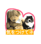 ハナさんスタンプ（個別スタンプ：32）
