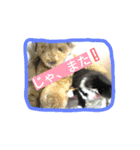 ハナさんスタンプ（個別スタンプ：34）