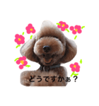 ポン吉3（個別スタンプ：5）