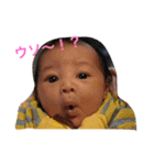 こにるい（個別スタンプ：7）