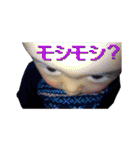 リューヤ君（個別スタンプ：20）