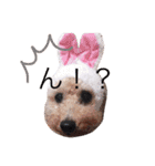 たろう家の娘とわんこ（個別スタンプ：11）