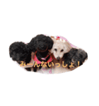 たろう家の娘とわんこ（個別スタンプ：23）