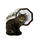 ねこが色々（個別スタンプ：10）
