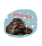 ノアスタ（個別スタンプ：8）
