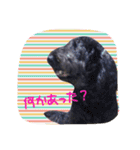 ノアスタ（個別スタンプ：14）