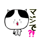 白井さあああん（個別スタンプ：8）
