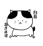 白井さあああん（個別スタンプ：11）