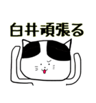 白井さあああん（個別スタンプ：13）