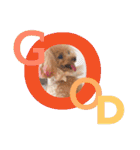 ネイルサロンの看板犬ビビ（個別スタンプ：3）