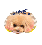 ネイルサロンの看板犬ビビ（個別スタンプ：5）