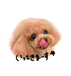 ネイルサロンの看板犬ビビ（個別スタンプ：7）