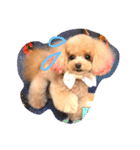 ネイルサロンの看板犬ビビ（個別スタンプ：12）