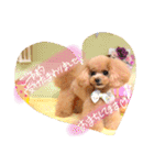 ネイルサロンの看板犬ビビ（個別スタンプ：15）
