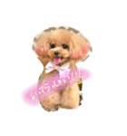 ネイルサロンの看板犬ビビ（個別スタンプ：17）
