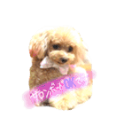 ネイルサロンの看板犬ビビ（個別スタンプ：18）