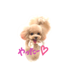 ネイルサロンの看板犬ビビ（個別スタンプ：22）