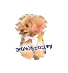 ネイルサロンの看板犬ビビ（個別スタンプ：23）