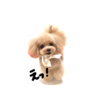 ネイルサロンの看板犬ビビ（個別スタンプ：24）