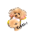 ネイルサロンの看板犬ビビ（個別スタンプ：25）