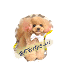 ネイルサロンの看板犬ビビ（個別スタンプ：26）