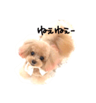 ネイルサロンの看板犬ビビ（個別スタンプ：27）
