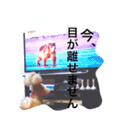 ネイルサロンの看板犬ビビ（個別スタンプ：28）