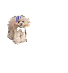 ネイルサロンの看板犬ビビ（個別スタンプ：32）