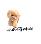 ネイルサロンの看板犬ビビ（個別スタンプ：35）