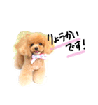 ネイルサロンの看板犬ビビ（個別スタンプ：39）