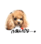 ネイルサロンの看板犬ビビ（個別スタンプ：40）