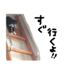 ちまきの日常2（個別スタンプ：10）