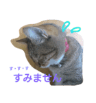 ウメ先生の1日（個別スタンプ：2）