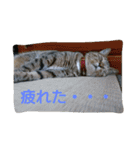 ウメ先生の1日（個別スタンプ：10）