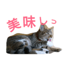 ウメ先生の1日（個別スタンプ：13）