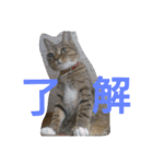 ウメ先生の1日（個別スタンプ：14）