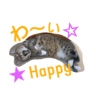 ウメ先生の1日（個別スタンプ：16）